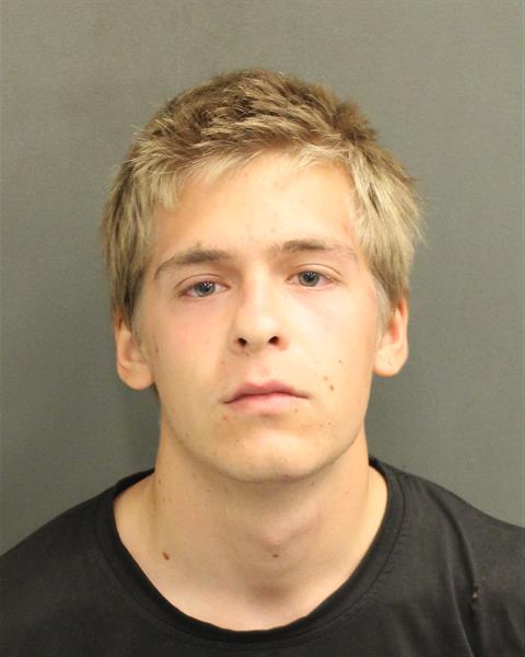  DAVID PETERVICH BULBA Mugshot / County Arrests / Orange County Arrests
