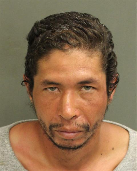  NEIL W ARCE Photo Image