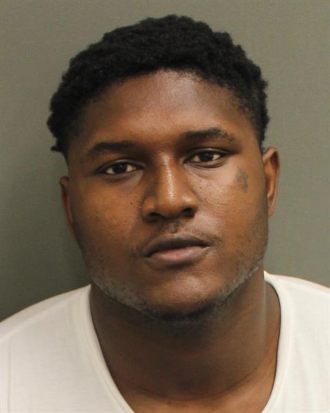  SEBASTIEN GIOVANI C DOLCINE Mugshot / County Arrests / Orange County Arrests