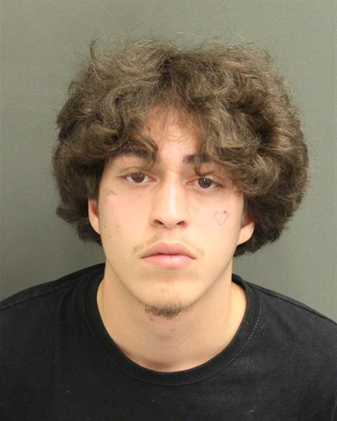  LUCAS ARAUJO Mugshot / County Arrests / Orange County Arrests