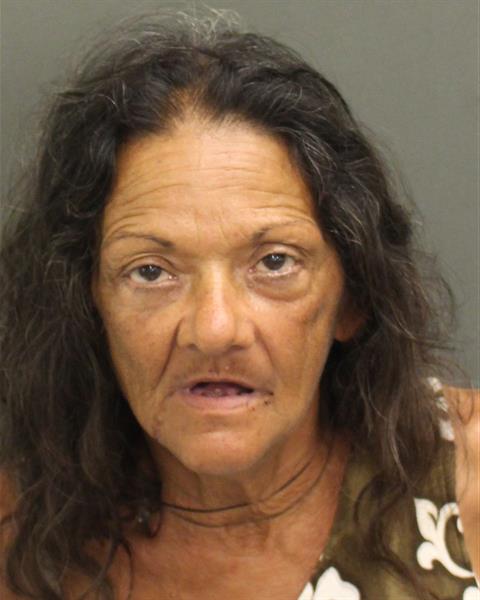  CLOTILDE T ARIAS Mugshot / County Arrests / Orange County Arrests