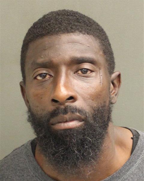  LAVON G HAYNES Mugshot / County Arrests / Orange County Arrests
