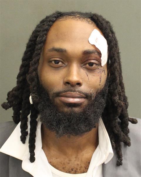 AL BIRCH PAULL Mugshot AL BIRCH PAULL Mugshot / County Arrests / Orange County Arrests