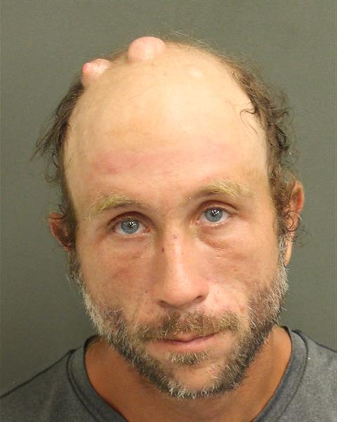  RYAN MICHAEL RENFREW Mugshot / County Arrests / Orange County Arrests