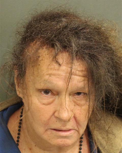  DEBORAH ANN YURECKO Mugshot / County Arrests / Orange County Arrests