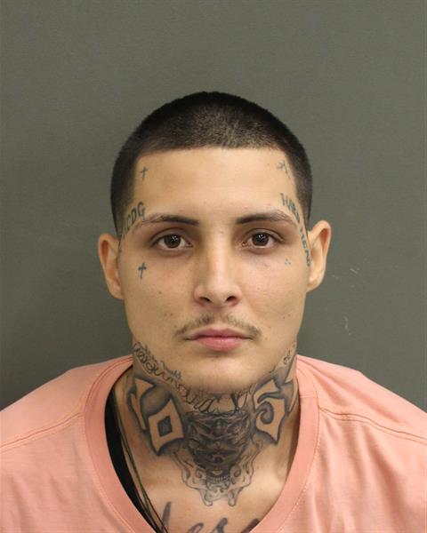  SEBASTIAN TOMAS GOMEZ Mugshot / County Arrests / Orange County Arrests