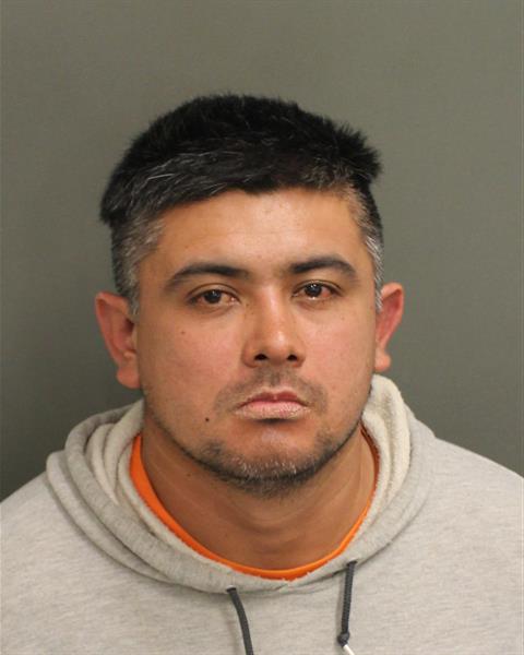  CRISTHIAN CAMILO TORRESGONZALEZ Mugshot / County Arrests / Orange County Arrests