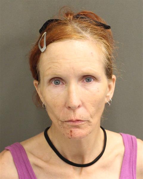  ELIZABETH RAE HEITKAMP Mugshot / County Arrests / Orange County Arrests