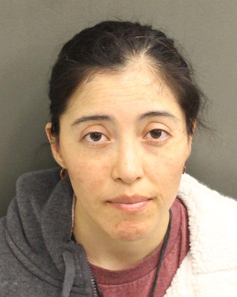  NATALIA ANDREA VAETH Mugshot / County Arrests / Orange County Arrests