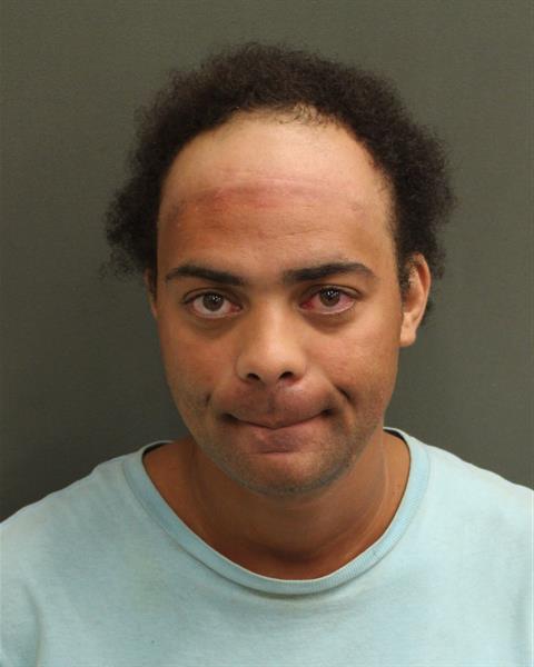  ETHAN CASE HASS Mugshot / County Arrests / Orange County Arrests