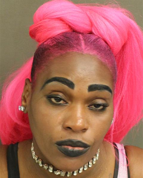  MARANDA LIANN BROWN Mugshot / County Arrests / Orange County Arrests