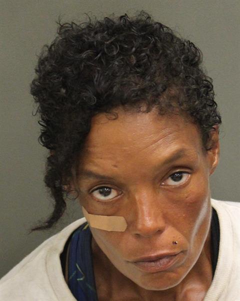  RACHEL SANCHEZ Mugshot / County Arrests / Orange County Arrests