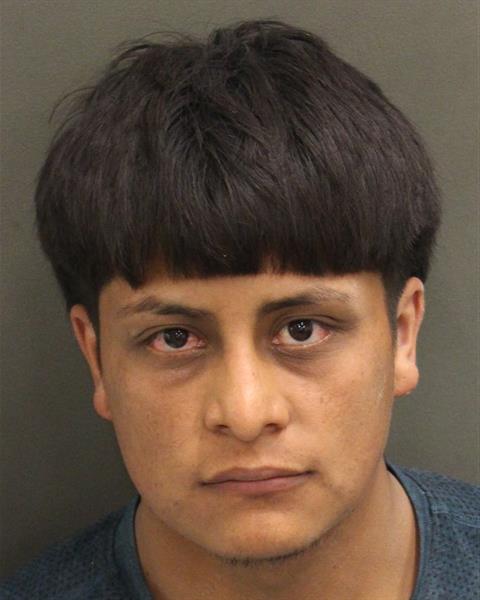  HERNAN MANUEL MORALES Mugshot / County Arrests / Orange County Arrests