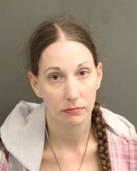  ANDREA GAYLE STANKO Mugshot / County Arrests / Orange County Arrests