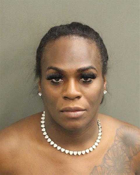  CHLOE NOEL GLEN Photo Image