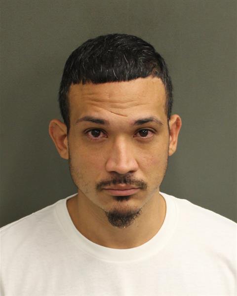 JOEL RIVERO Mugshot JOEL RIVERO Mugshot / County Arrests / Orange County Arrests