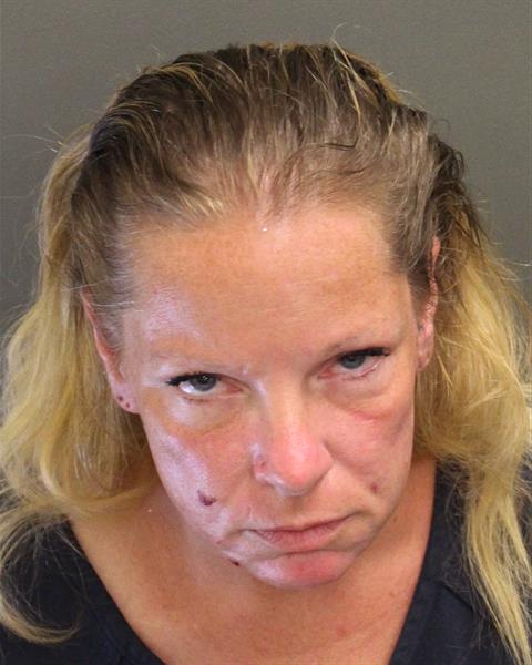  REBECCAH LEANN JOHNSON Mugshot / County Arrests / Orange County Arrests