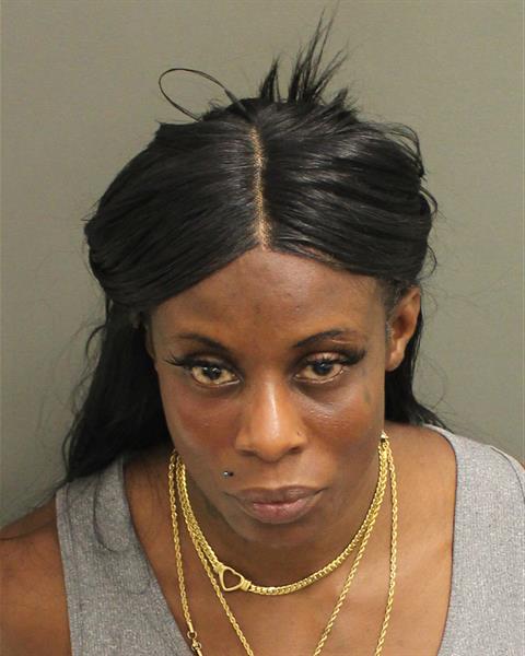  KATHY LYNNETTE LODGE Mugshot / County Arrests / Orange County Arrests
