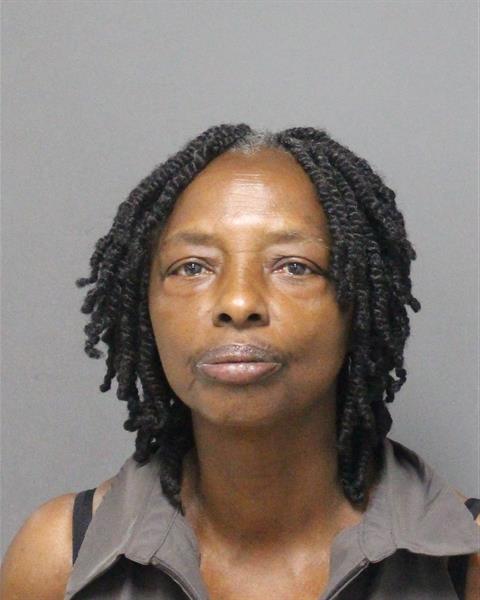  JOSEPHINE BLOSSOM Mugshot / County Arrests / Orange County Arrests