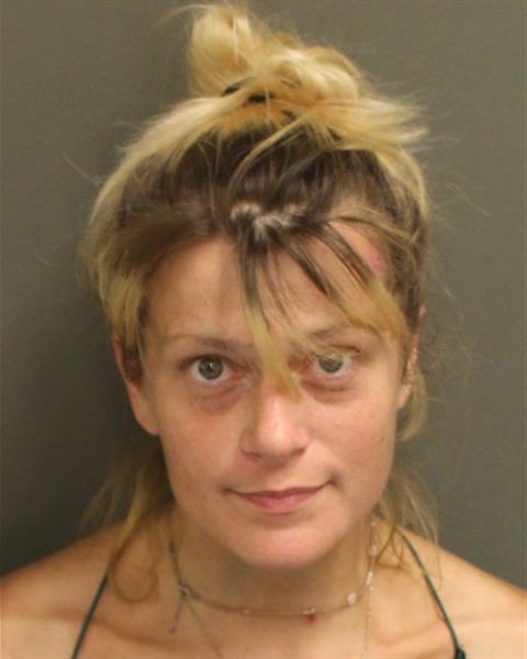  AMBER LEE REGISTER Mugshot / County Arrests / Orange County Arrests