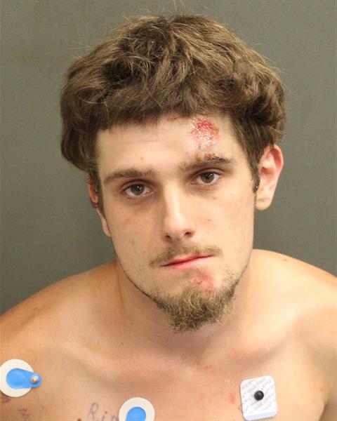  RYAN JAMES HORAN Mugshot / County Arrests / Orange County Arrests