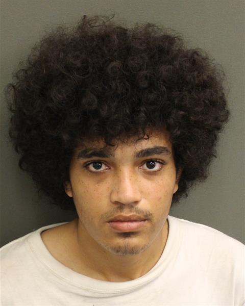  MADISON TAYLOR DIECKMAN Photo Image