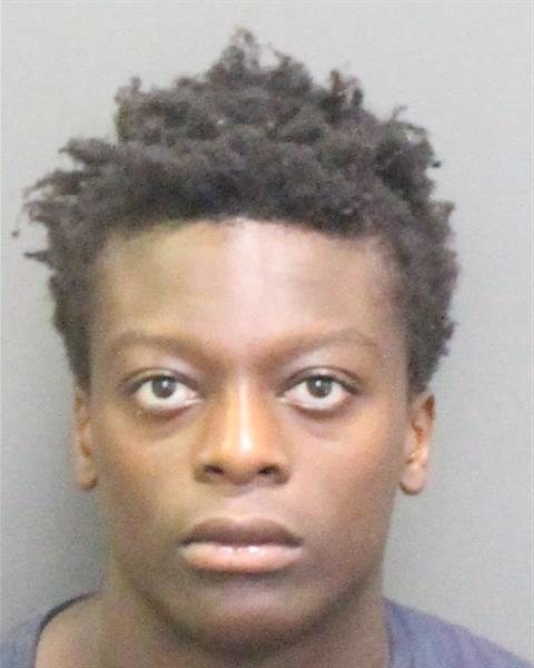  GERALD M PERKINS Mugshot / County Arrests / Orange County Arrests