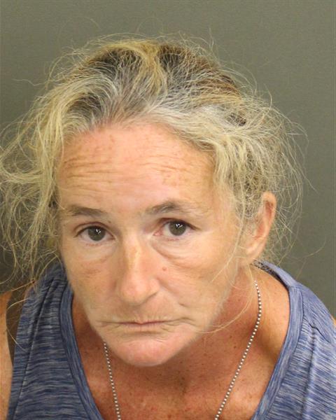 JENNIFER ELIZABETH HENSON Mugshot JENNIFER ELIZABETH HENSON Mugshot / County Arrests / Orange County Arrests
