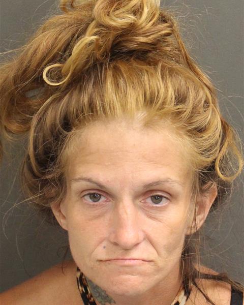 ERIN NICOLE BRASFIELD Mugshot / County Arrests / Orange County Arrests