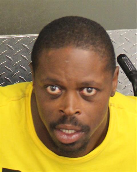  YANCEY WILLIAMIV IV STYLES Photo Image