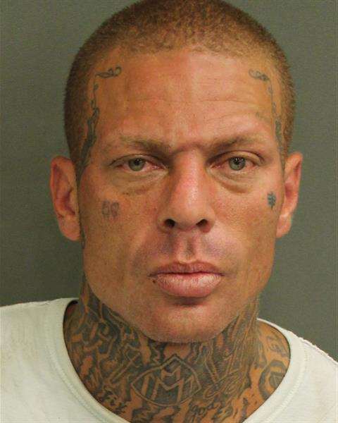  ANDREW PETER GORDON Photo Image