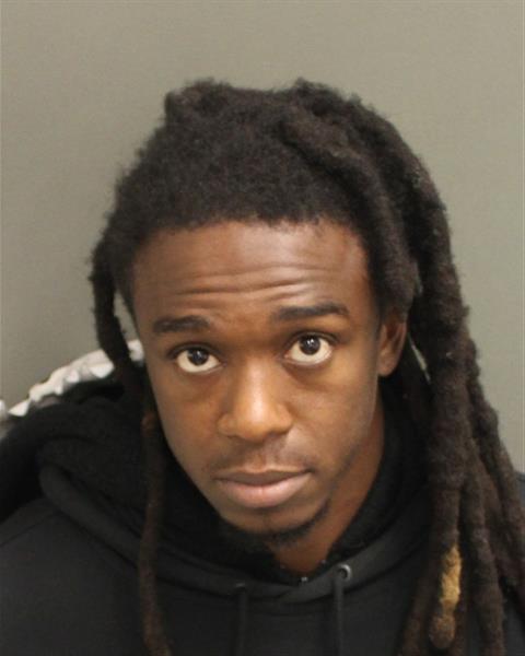  BRITHEL VANNESS BRIDGES Mugshot / County Arrests / Orange County Arrests