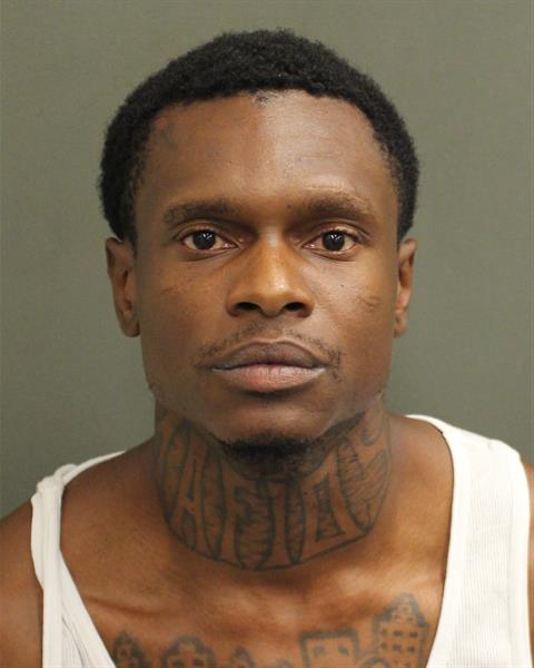  LUNER  JR AXCIUS Mugshot / County Arrests / Orange County Arrests