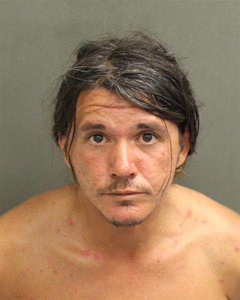  GEORGE SAVAGE DOVO Mugshot / County Arrests / Orange County Arrests