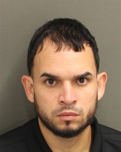  LUIS MIGUEL SANCHEZ Mugshot / County Arrests / Orange County Arrests