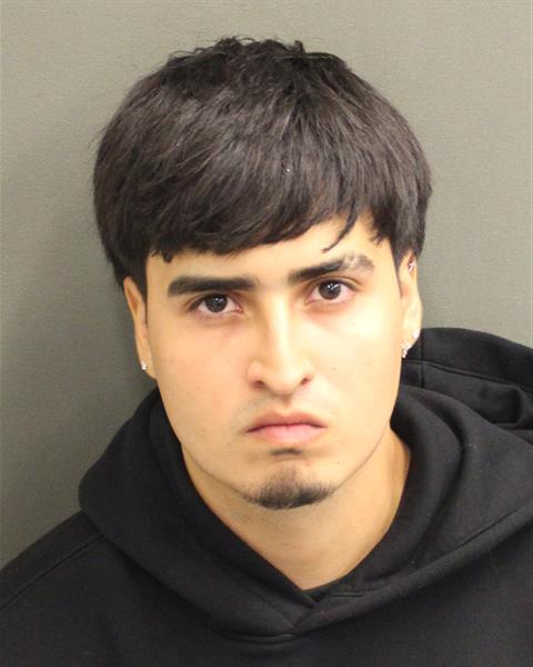  CHRISTIAN ALEJANDRO VILLAMARIN Mugshot / County Arrests / Orange County Arrests
