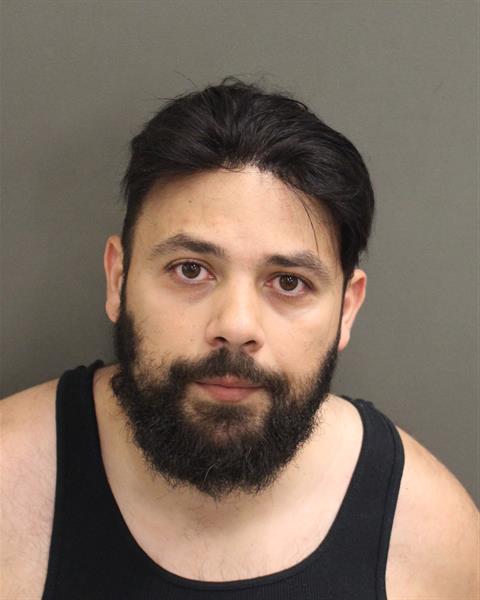  CRISTIAN MUNTEANU Mugshot / County Arrests / Orange County Arrests