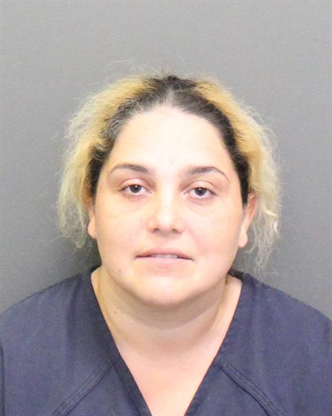  ICA MUNTEANU Mugshot / County Arrests / Orange County Arrests