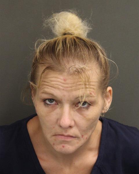  CRYSTAL LYNN BRIEN Photo Image