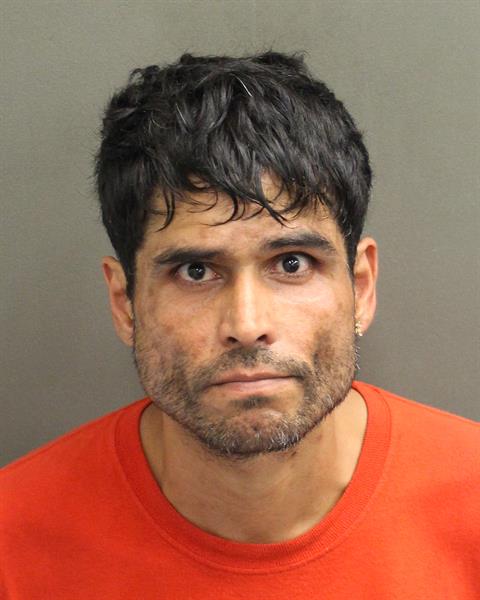  ANDRES JAVIER ACEVEDOVEGA Mugshot / County Arrests / Orange County Arrests
