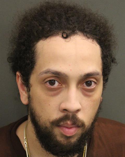  PERRY ARMAND SANCHEZ Mugshot / County Arrests / Orange County Arrests