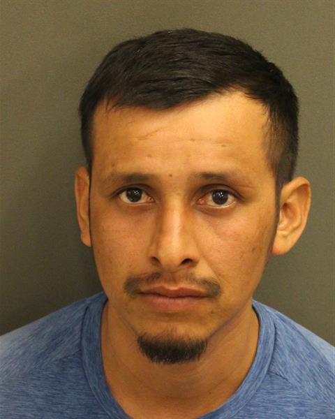  LUIS SIERRAGATICA Mugshot / County Arrests / Orange County Arrests