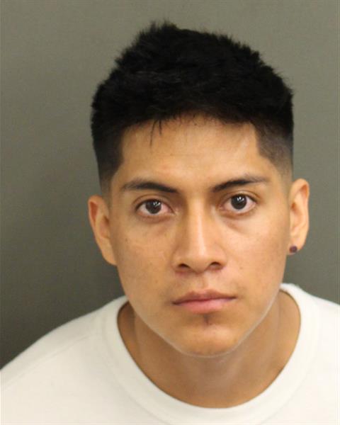  LINO TIXIPUNINA Photo Image