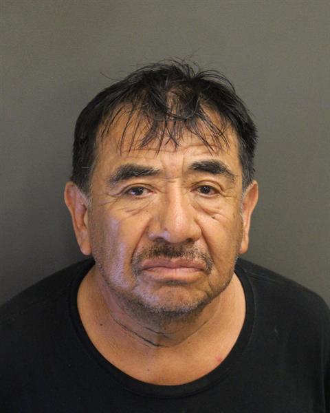  RICARDO DEJESUS ISLASRAMIREZ Mugshot / County Arrests / Orange County Arrests