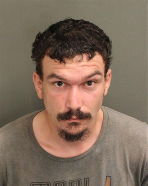 DAVID AARON JOSEPH CARUSO Mugshot / County Arrests / Orange County Arrests