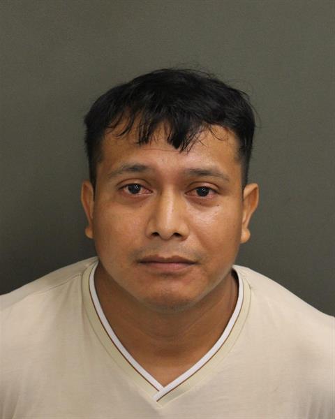  PEDRO ALEJANDRO GARCIAPASCUAL Mugshot / County Arrests / Orange County Arrests