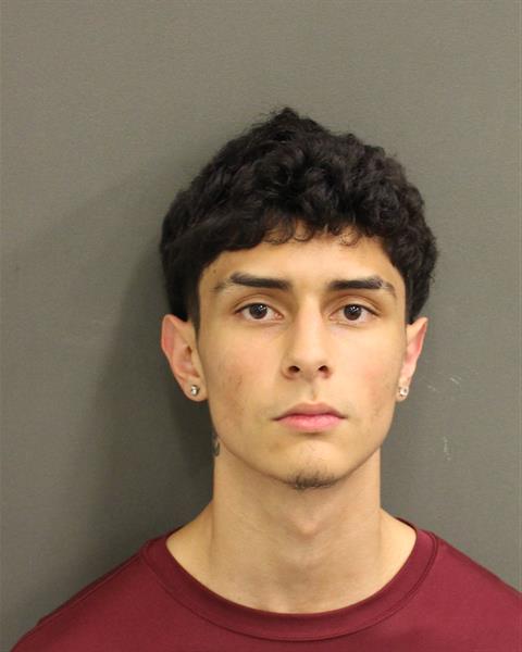  JUAN DIEGO REYESHERNANDEZ Mugshot / County Arrests / Orange County Arrests