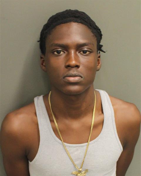  ELIE SAINTLOUIS Mugshot / County Arrests / Orange County Arrests