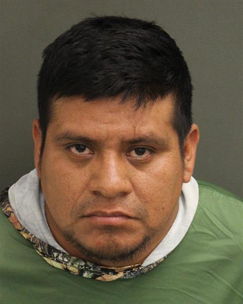  WILFRIDO ANDRESAVENDANO Photo Image