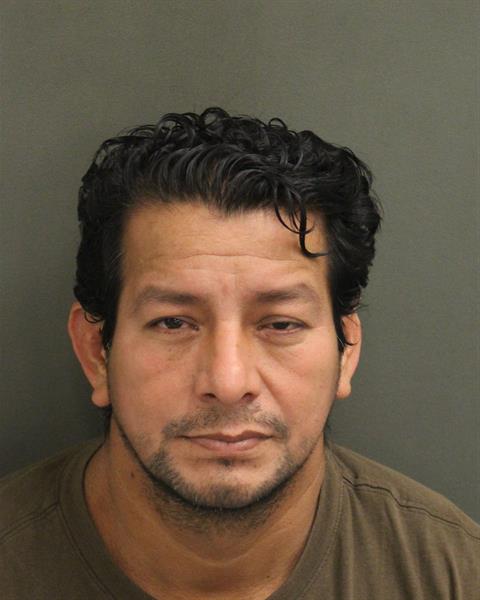  PEDRO LUISMARTINEZ Mugshot / County Arrests / Orange County Arrests